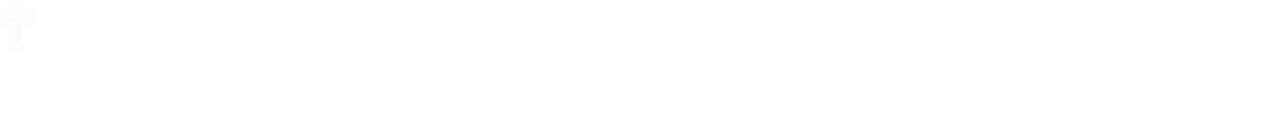 Mητροπολίτης Ἀττικῆς καί Μεγαρίδος Νικόδημος