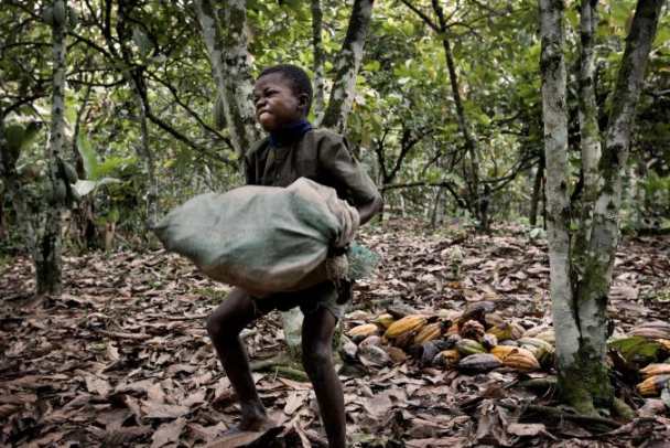 0176 choco2